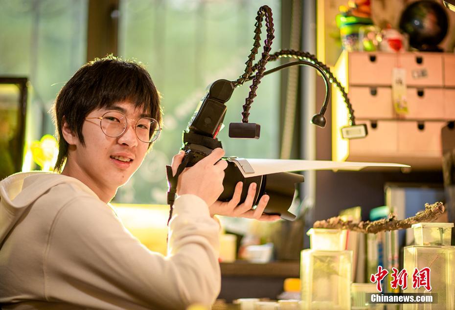 半生by空夢小說講的什么