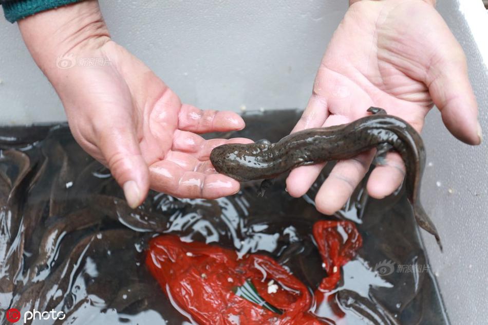 不復嫁(雙重生)