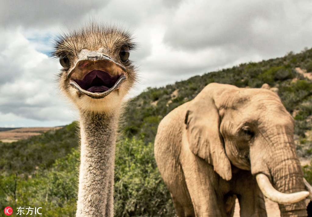 衣冠禽獸金樽筆趣閣免費閱讀