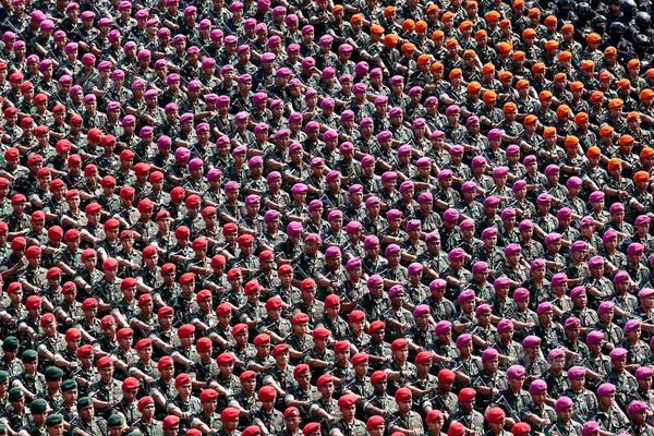 蝶舞大唐春小說TXT下載