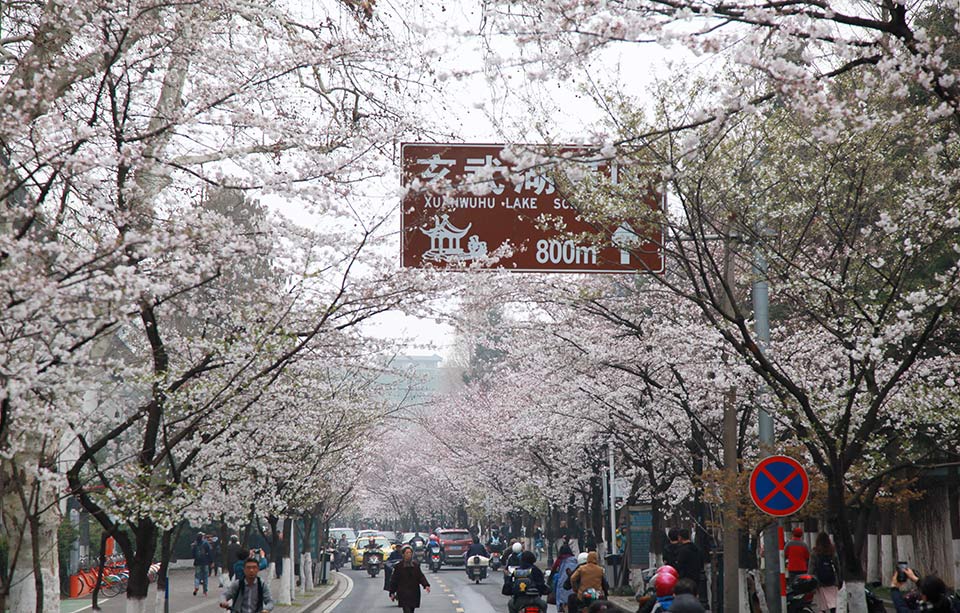 賜她嬌(重生)免費閱讀