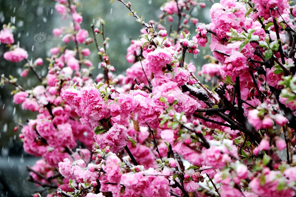 此間的少年小說 txt