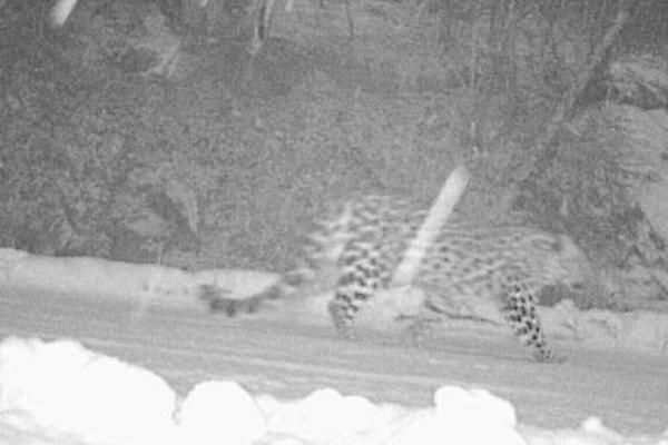 醫道官途全本TXT下載