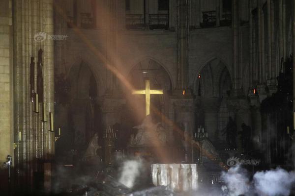 黑暗森林1v1小說