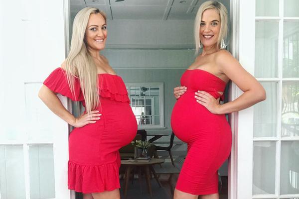 藏海花小說全集TXT下載