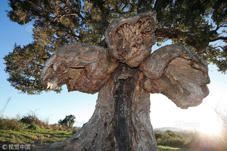 遠(yuǎn)東之虎txt