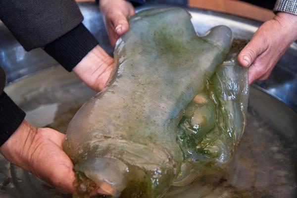 被遺忘的時(shí)光TXT下載