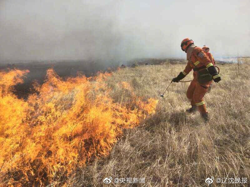 病弱白月光只想等死快穿