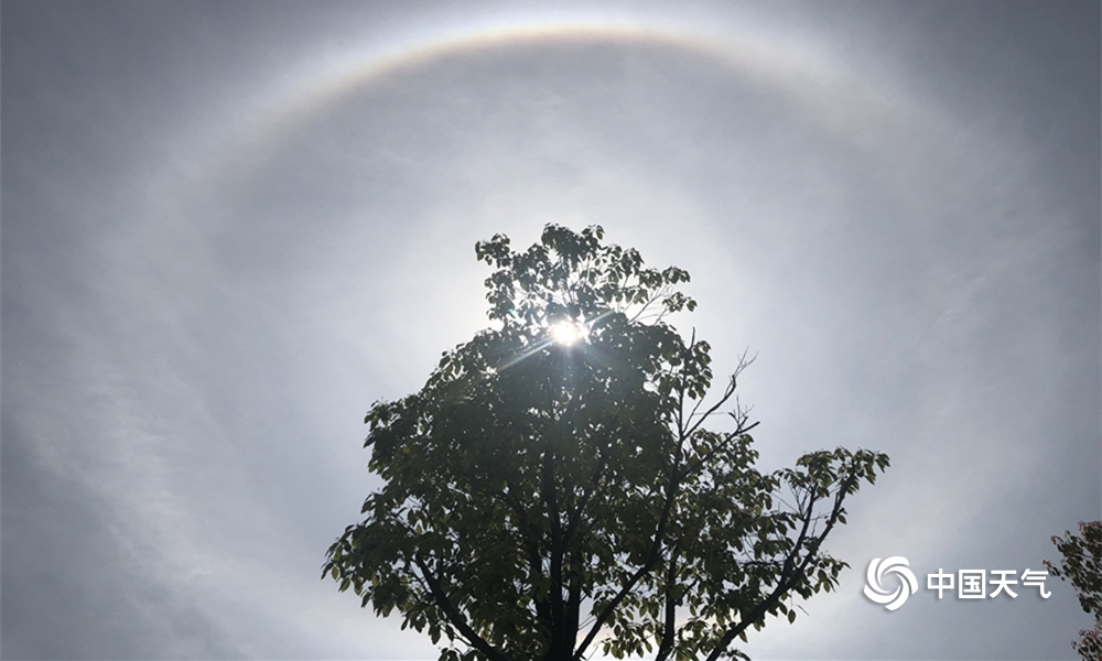 伏天氏全本TXT下載