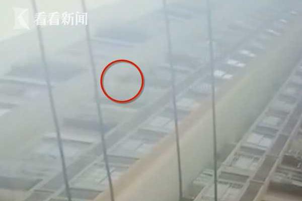 服軟(校園)甜柚子 小說