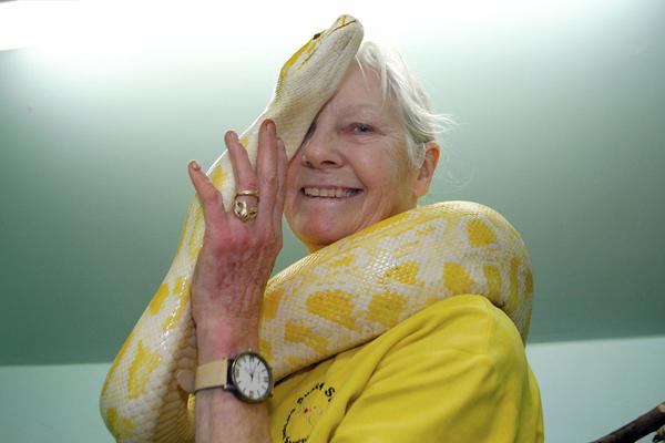 當(dāng)愛(ài)來(lái)臨by末回劇透