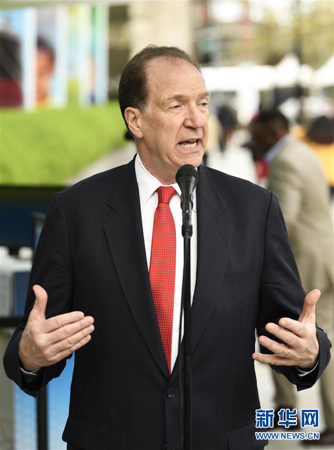 一頭母豬黃金圣斗士廢文