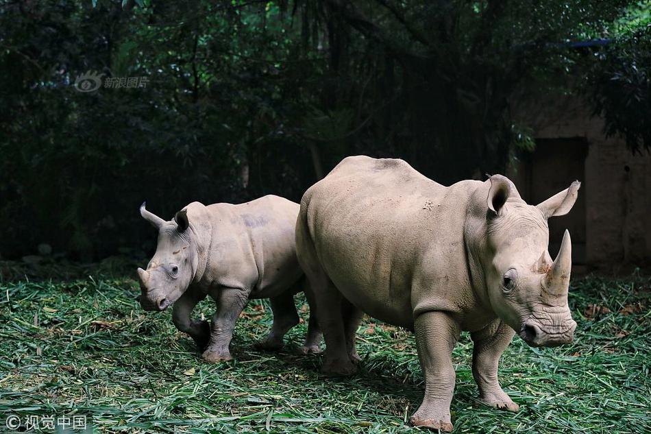 御龍修仙傳TXT下載