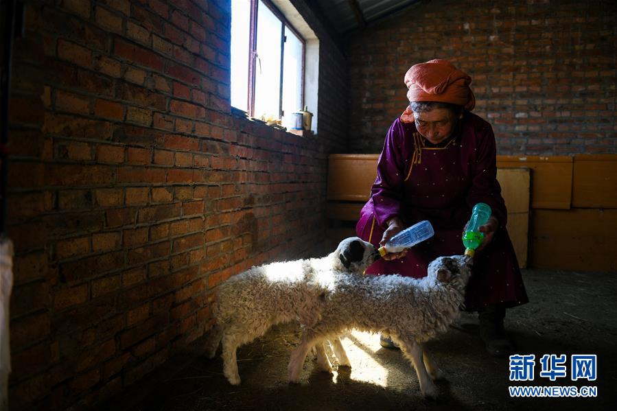 《天寶伏妖錄》在線觀看