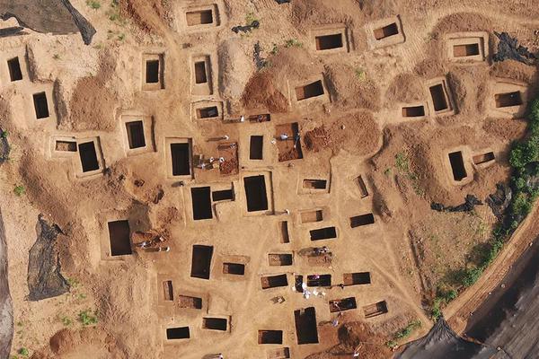 《欺凌》by白花花講的什么