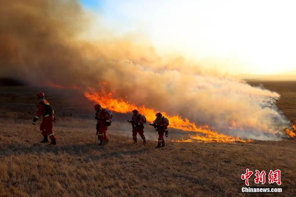 總裁大人體力好txt網盤