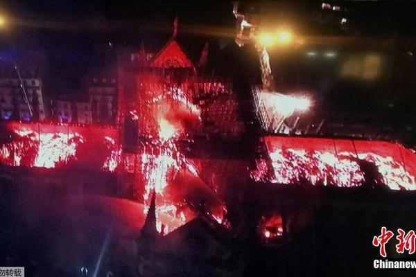 hp黛拉布什的戀愛故事