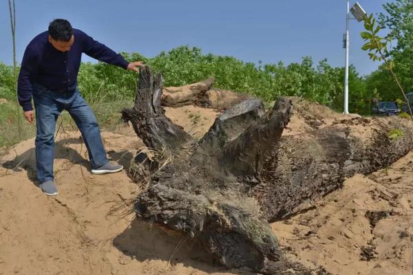 我的退伍精牛大伯