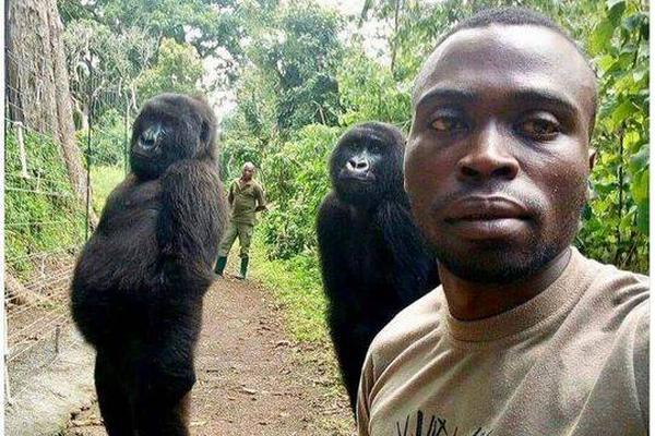 冤冤相報by在吃炸雞排免費閱讀