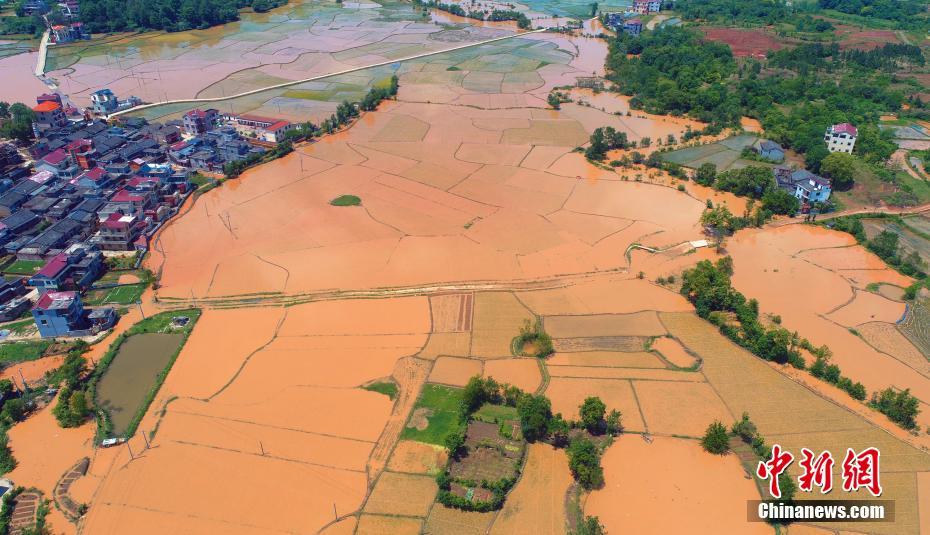 轉校生(校園)筆趣閣許輕輕