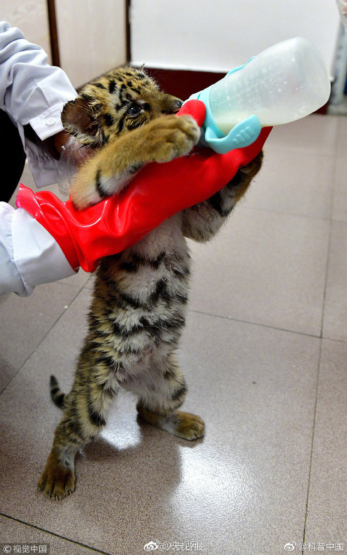 白艷妮1-60txt無彈窗筆趣閣