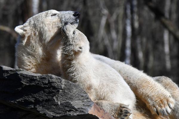 《喜夜袂停》by原也講的什么