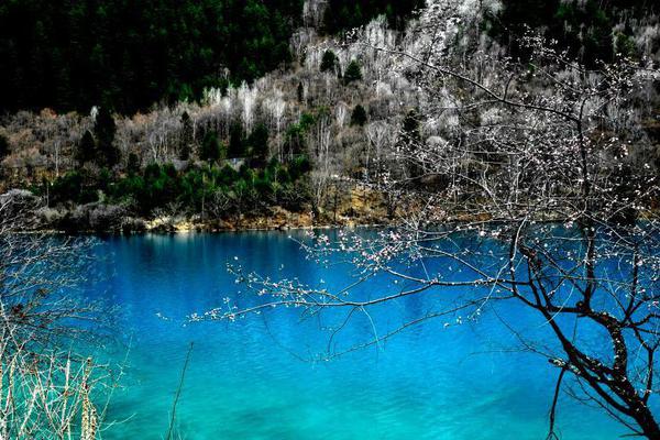 重生之嫡親貴女.txt