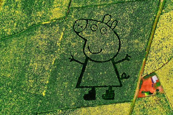 高門深戶by孟還筆趣閣