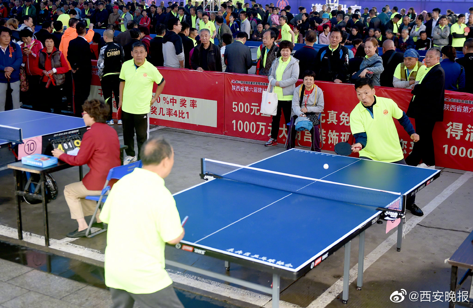 樂樂的公交車日記TXT