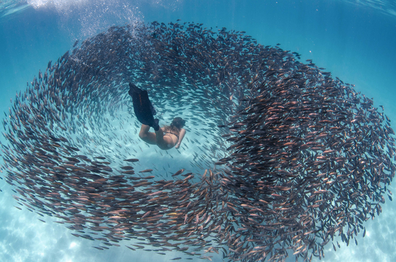 成人版海灘救護(hù)隊(duì)叫什么