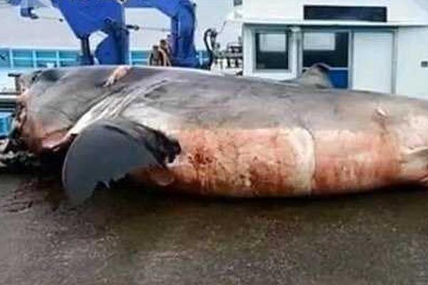 《轉校生》by未然