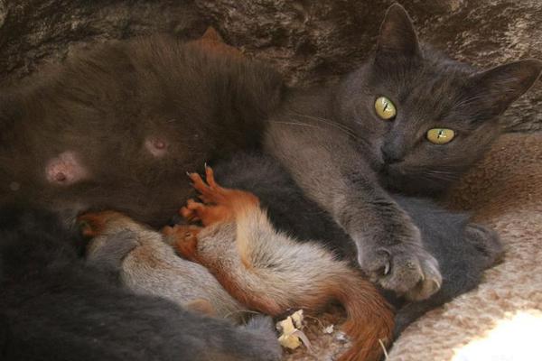 歡迎進入夢魘直播間txt完整版筆趣閣免費閱讀