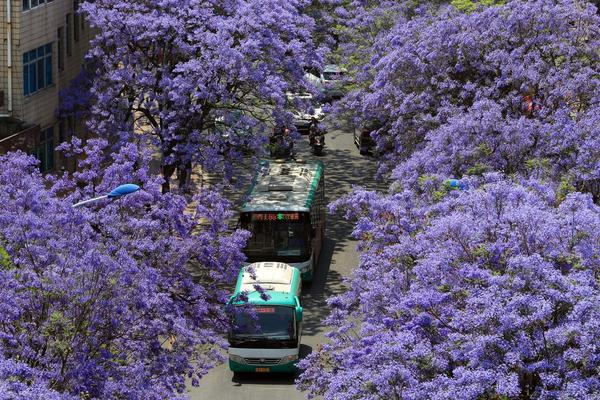喻青未刪減筆趣閣版本