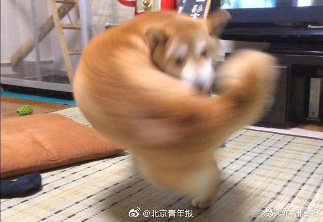 《歡迎回家》by陳之遙