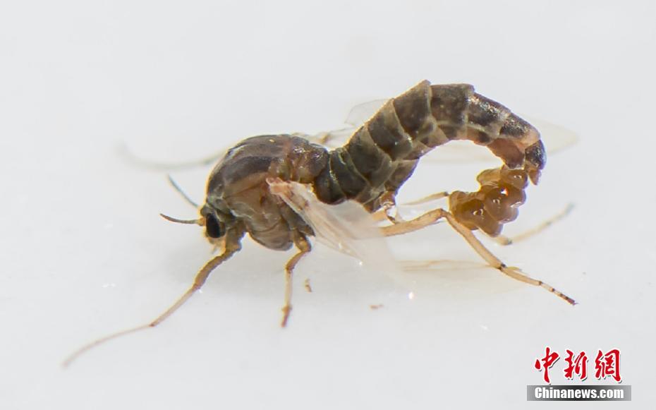 折腰小說未刪減版txt筆趣閣