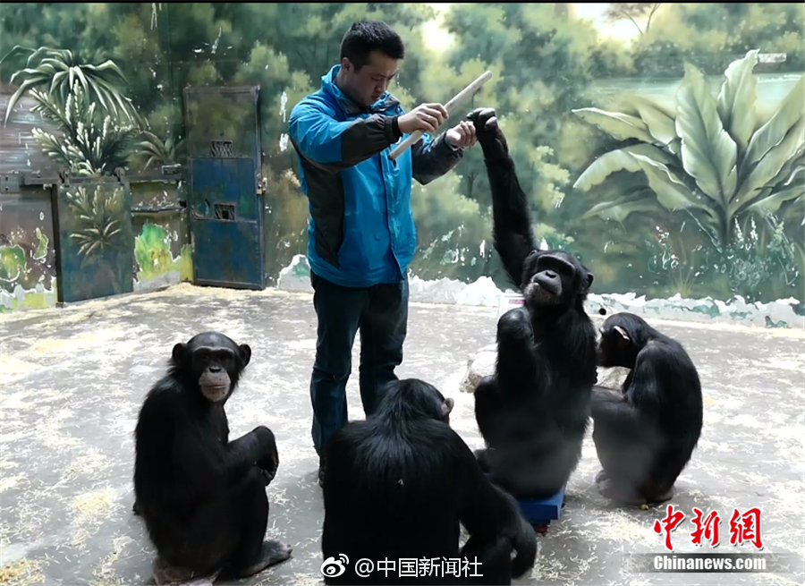 古言1v3周家三兄弟