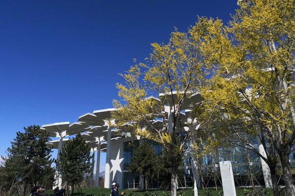 你是不是喜歡我by呂天逸網盤