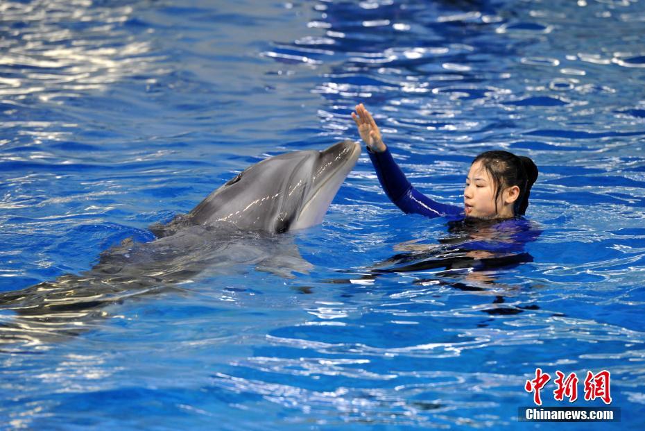 藏海花小說全集txt