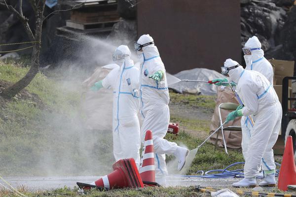 《意外事故》by江衡秦盛