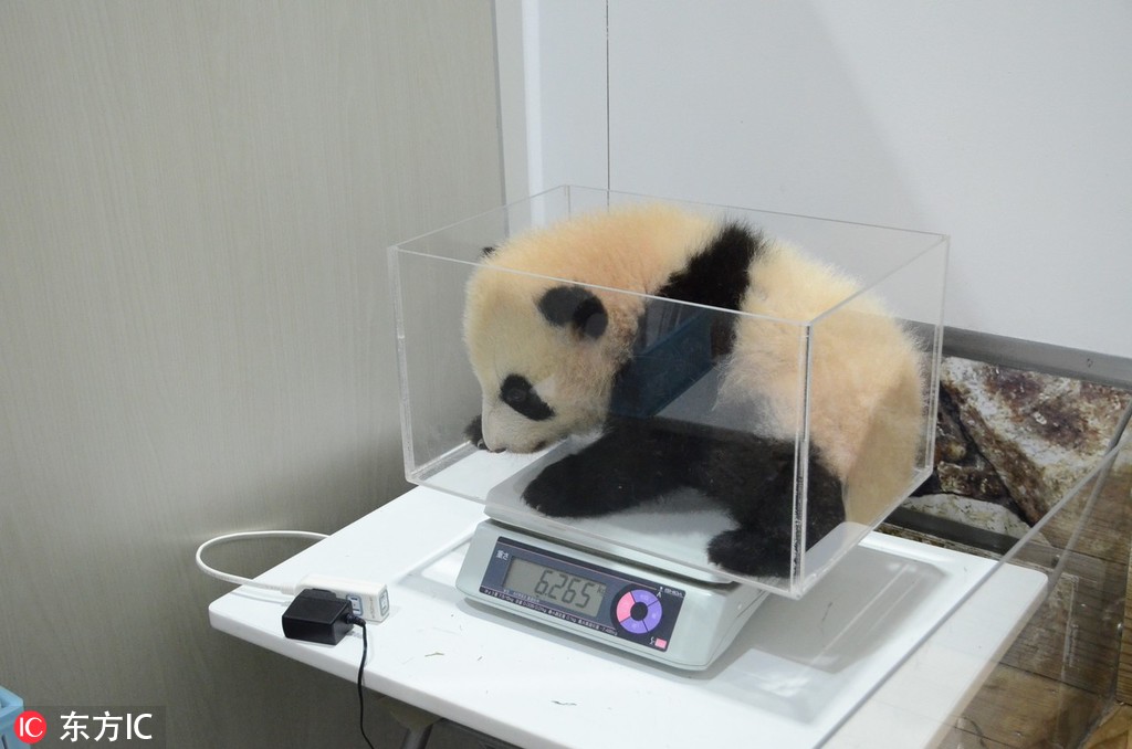 [總攻]心理治療師by小滿在線閱讀