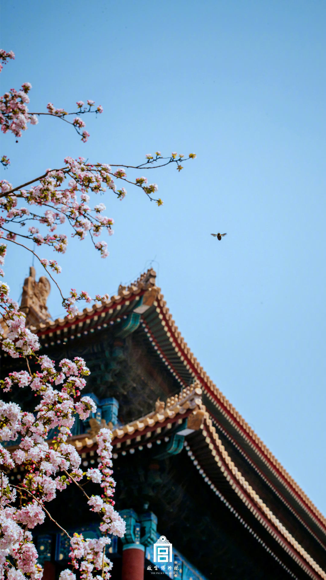 lvss時空之約夏至春秋