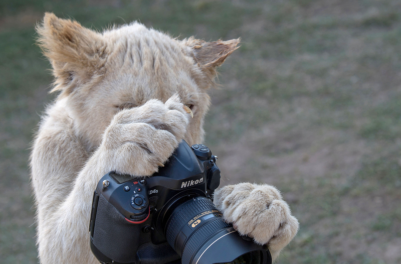 女主天生名器九曲星的小說