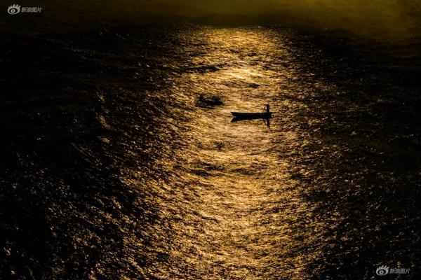 中國經濟的未來(很敢說)