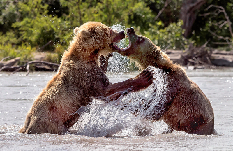 把他關起來by耳朵短篇