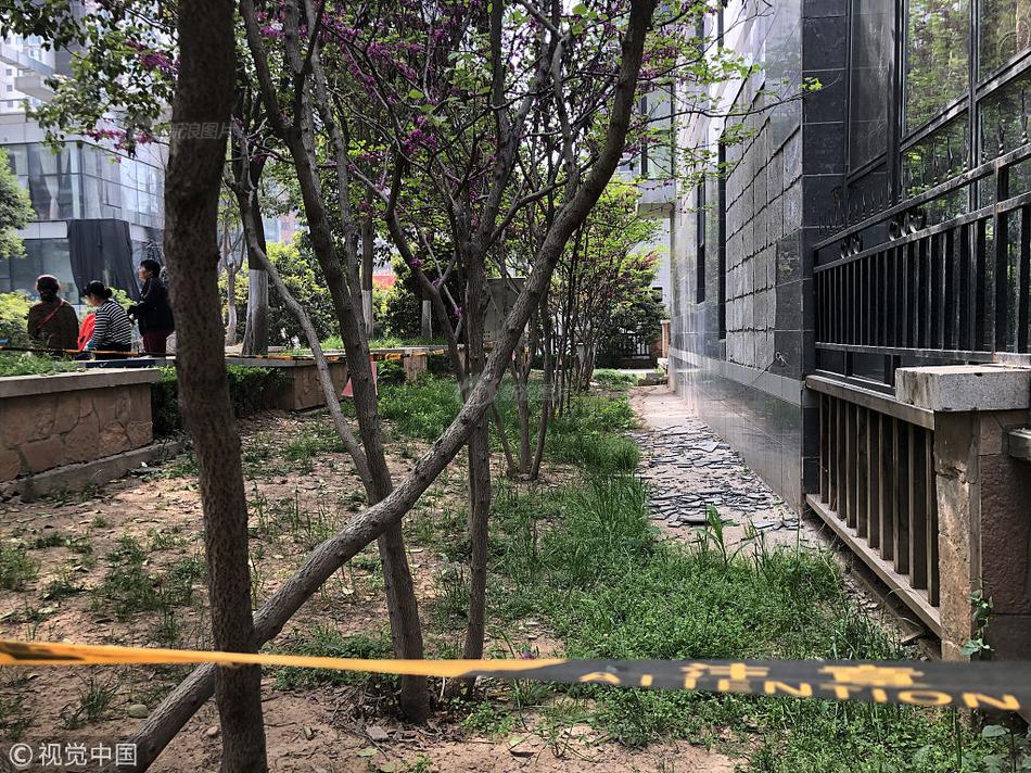 夠野糾糾貓完整版TXT