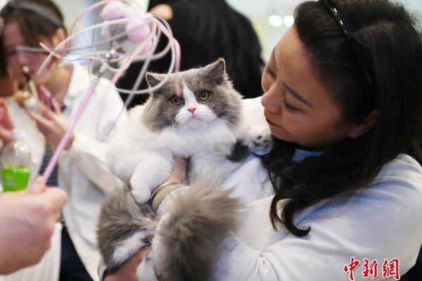 從渣男到好男人快穿