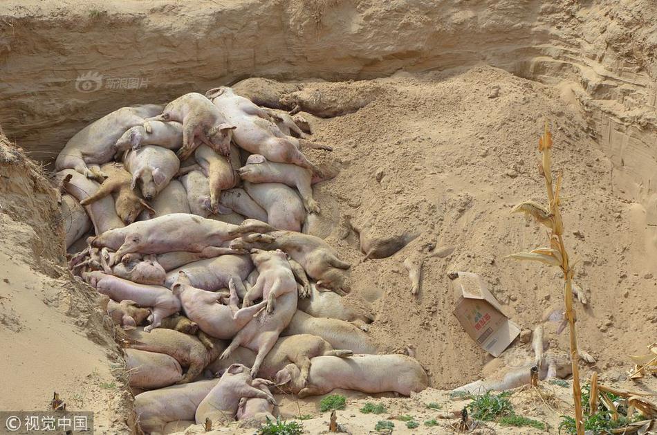 非凡人生(嬌艷人生)小說