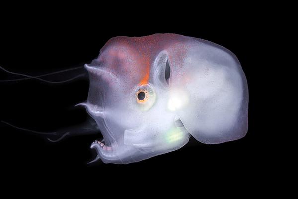 玉壺女(父女)筆趣閣最新章節(jié)