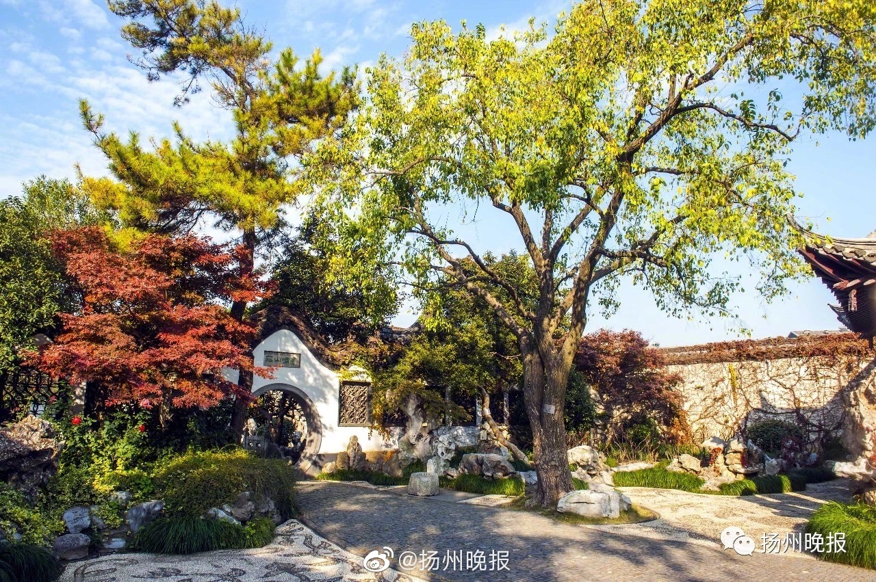 紙飛機1v2裴厭筆趣閣