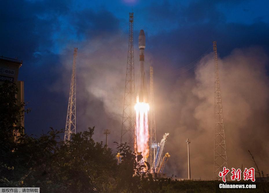 《訓(xùn)犬》by雁一夏